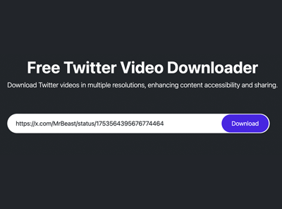 How to Download Twitter Video Step 3